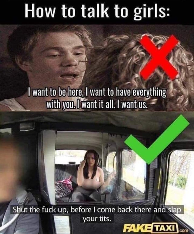 thirsty hoes meme - How to talk to girls I want to be here, I want to have everything with you. I want it all. I want us. Shut the fuck up, before I come back there and slap your tits. Fake Taxi.com
