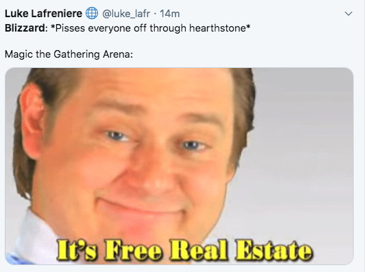 elantris memes - Luke Lafreniere 14m Blizzard Pisses everyone off through hearthstone Magic the Gathering Arena It's Free Real Estate