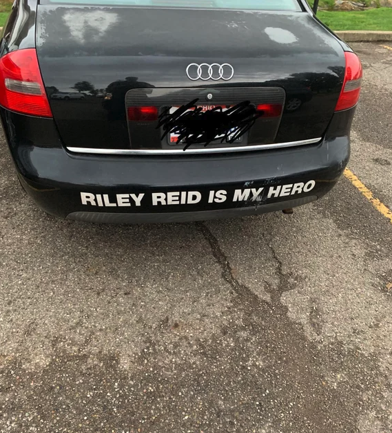 Riley Reid Is My Hero