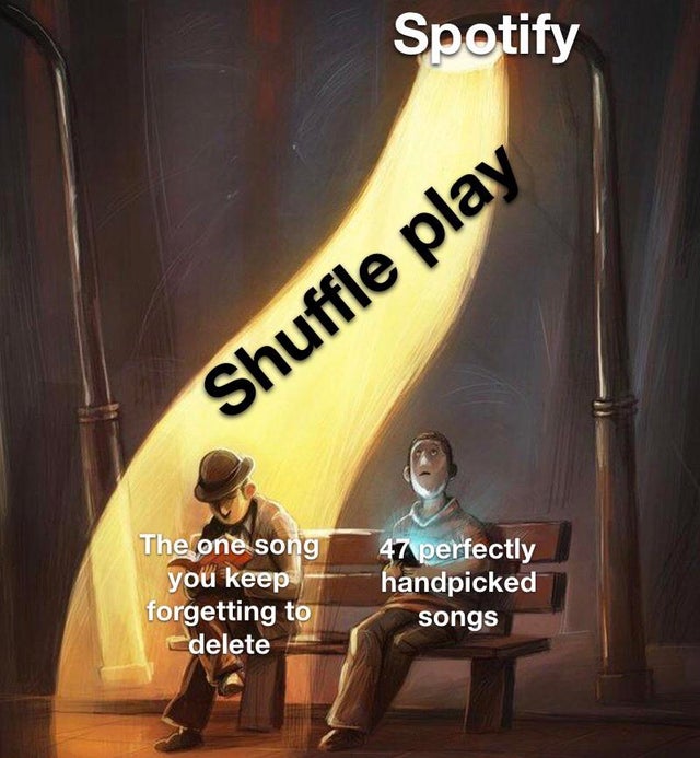 best meme 2019 - Song - Spotify Shuffle play 47 The one song you keep forgetting to delete 47\perfectly handpicked songs