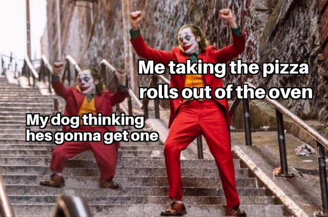 best meme 2019 - joker new movie - Me taking the pizza rolls out of the oven My dog thinking hes gonna get one