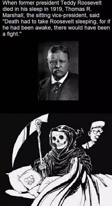 best meme 2019 - death had to take him sleeping - When former president Teddy Roosevelt died in his sleep in 1919, Thomas R. Marshall, the sitting vicepresident, said "Death had to take Roosevelt sleeping, for if he had been awake, there would have been a