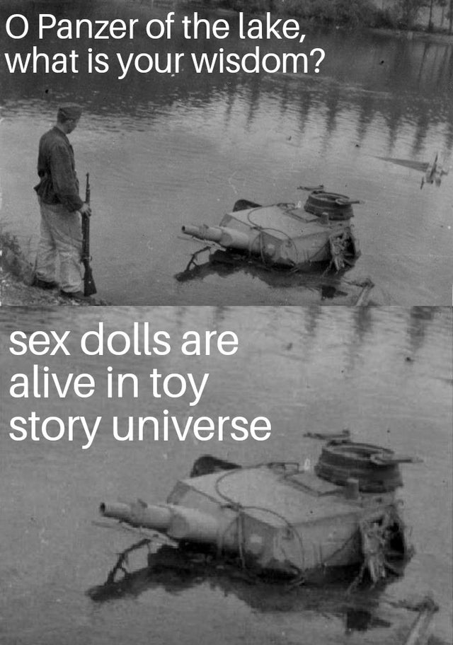 best meme 2019 - browse my wares meme - O Panzer of the lake, what is your wisdom? sex dolls are alive in toy story universe