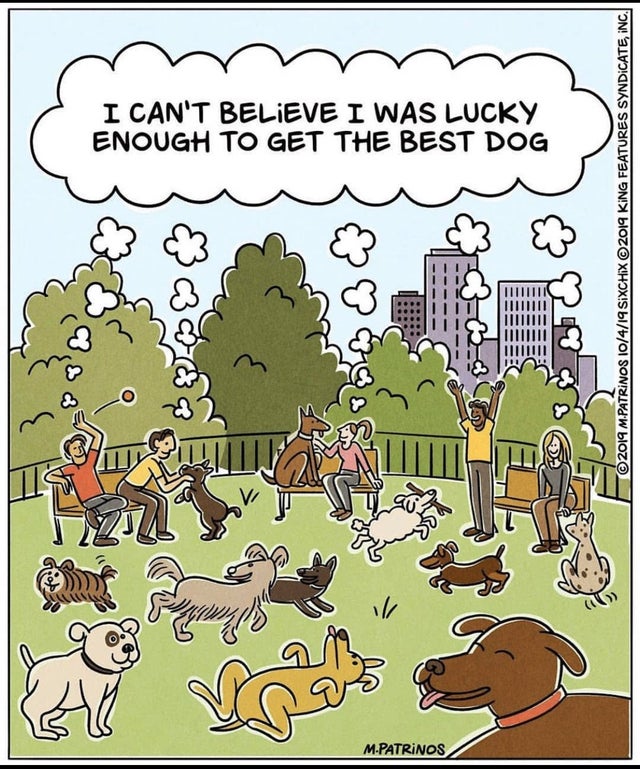 wholesome meme - cartoon - I Can'T Believe I Was Lucky Enough To Get The Best Dog 2019 King Features Syndicate, Inc. 2019 M.Patrinos 10419 Sixchix Mayo M.Patrinos