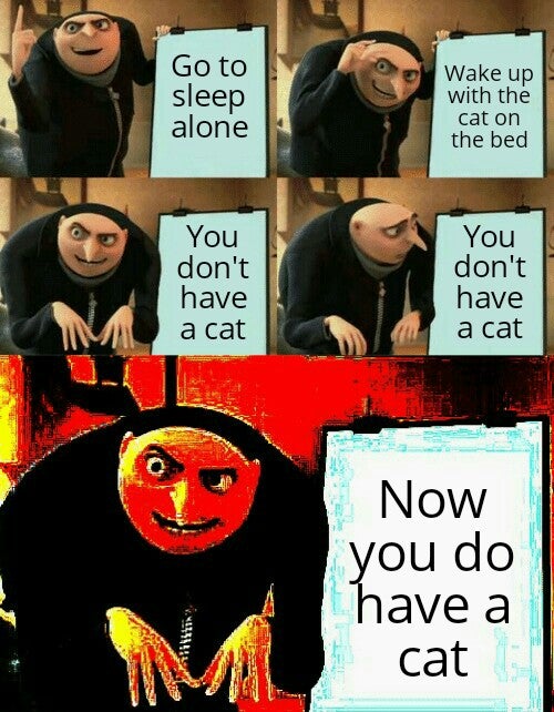 wholesome meme - gru plan meme - Go to sleep alone Wake up with the cat on the bed You don't have a cat You don't have a cat Now you do have a cat