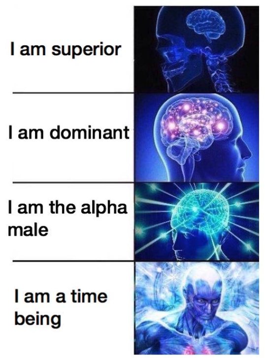 2019 PSAT Memes - I am superior I am dominant I am the alpha male I am a time being