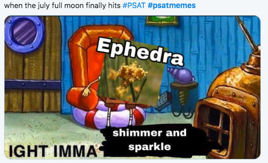 2019 PSAT Memes - when the july full moon finally hits Ephedra shimmer and Ight Immas sparkle