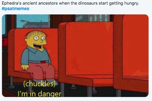 2019 PSAT Memes - Ephedra's ancient ancestors when the dinosaurs start getting hungry. chuckles I'm in danger