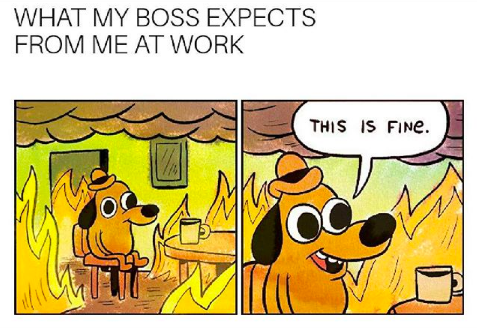 Boss day - everything is going wrong but you re used to it - What My Boss Expects From Me At Work This Is Fine.