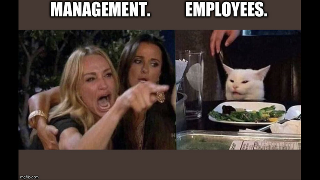 Boss day - woman yelling at cat meme vegan - Management. Employees. imgflip.com