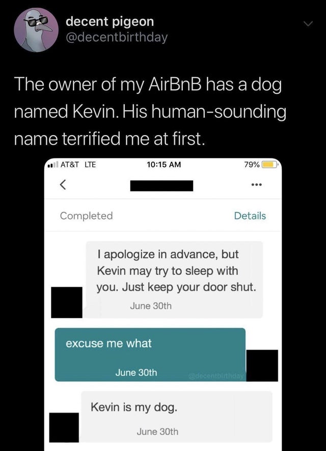 kevin airbnb meme - decent pigeon The owner of my AirBnB has a dog, named Kevin. His humansounding 'name terrified me at first. At&T Lte 79% Completed Details I apologize in advance, but Kevin may try to sleep with you. Just keep your door shut. June 30th