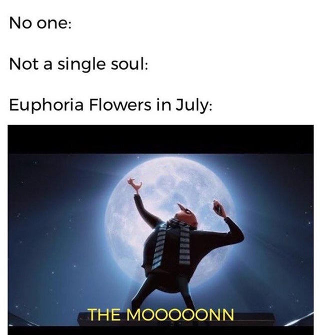 psat meme - guy who stole the moon - No one Not a single soul Euphoria Flowers in July The Mooooonn