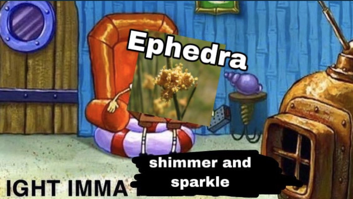 psat meme - microwave tortilla meme - Ephedra shimmer and sparkle Ight Imma