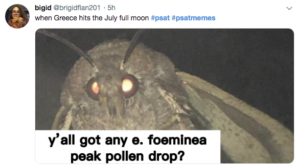 psat meme - moth thot - bigid .5h when Greece hits the July full moon y'all got any e. foeminea peak pollen drop?