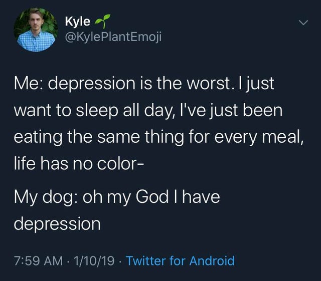 depression meme - atmosphere - Kyle Me depression is the worst. I just want to sleep all day, I've just been eating the same thing for every meal, life has no color My dog oh my God I have depression 11019 Twitter for Android
