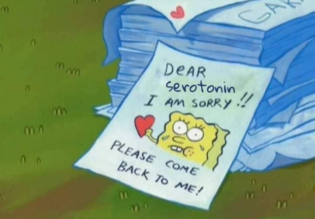 depression meme - spongebob gary come back - man Dear serotonin I Am Sorry! Please Come Back To Me!
