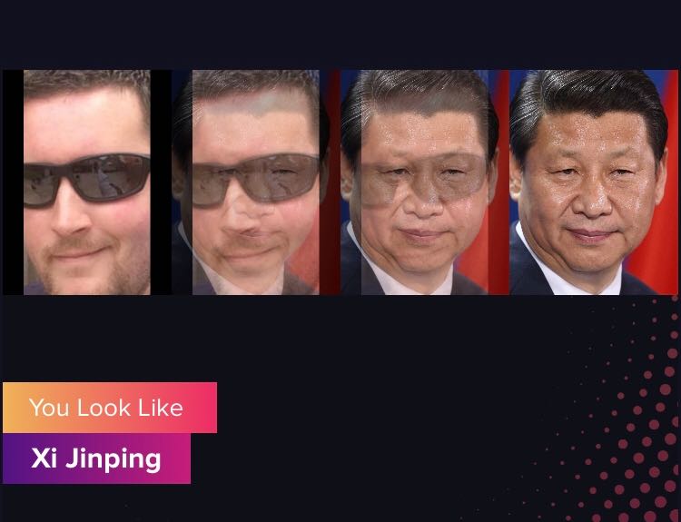 politician - You Look Xi Jinping