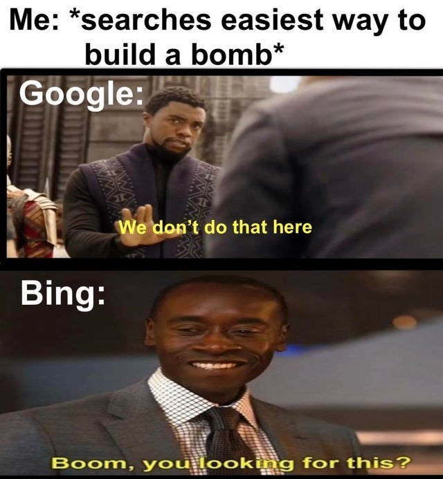 google vs bing memes - Me searches easiest way to build a bomb Google We don't do that here Bing Boom, you looking for this?