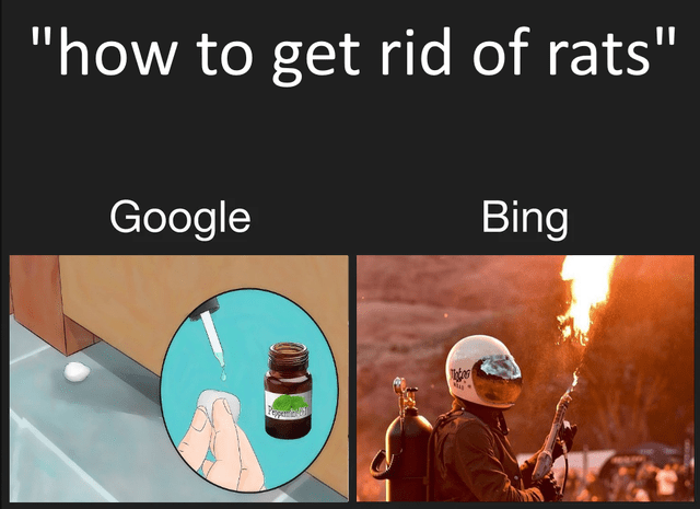 google vs bing memes - how to get rid of rats