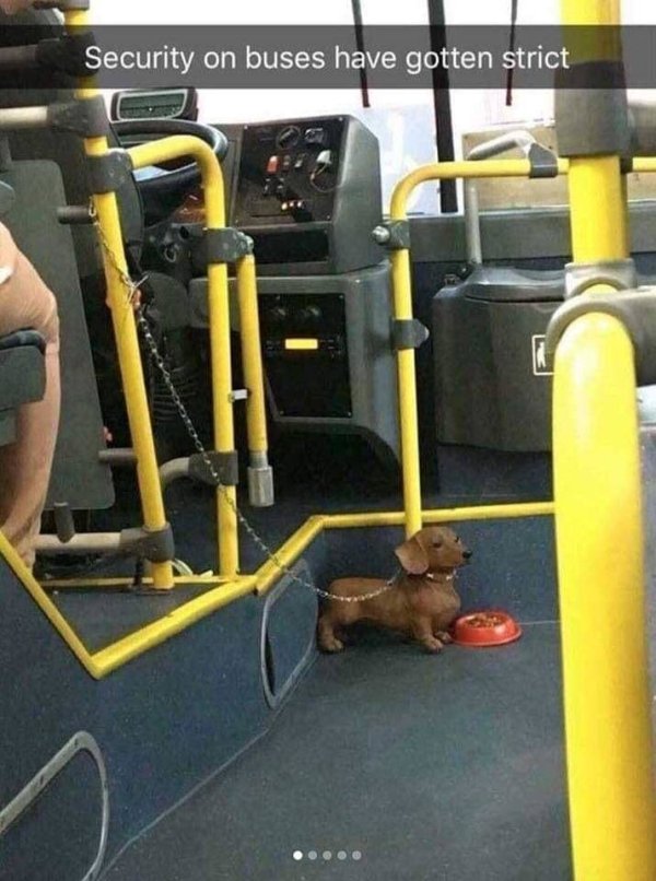 Security on buses have gotten strict