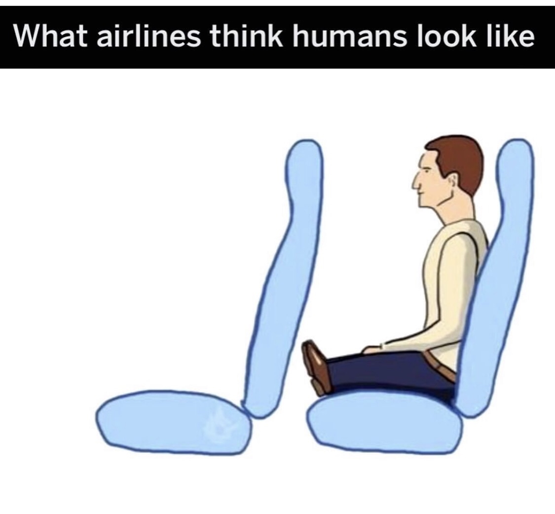 plane makers see us - What airlines think humans look