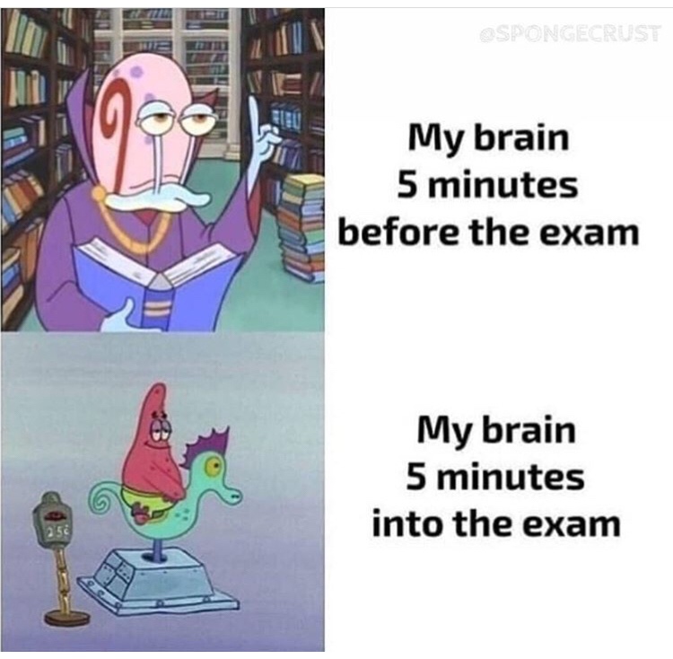 dopamine meme - Ospongecrust My brain 5 minutes before the exam My brain 5 minutes into the exam