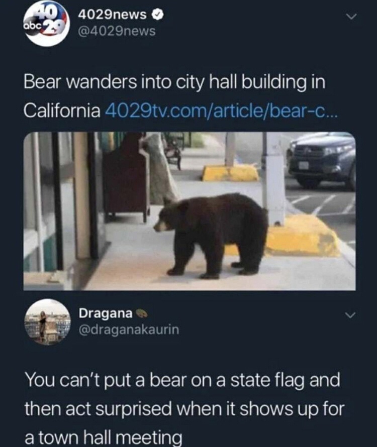 bear wanders into city hall - abc 4029news Bear wanders into city hall building in California 4029tv.comarticlebearc... Dragana You can't put a bear on a state flag and then act surprised when it shows up for a town hall meeting
