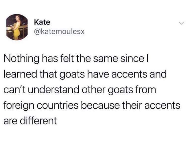 toddlers are savages meme - Kate Nothing has felt the same since | learned that goats have accents and can't understand other goats from foreign countries because their accents are different