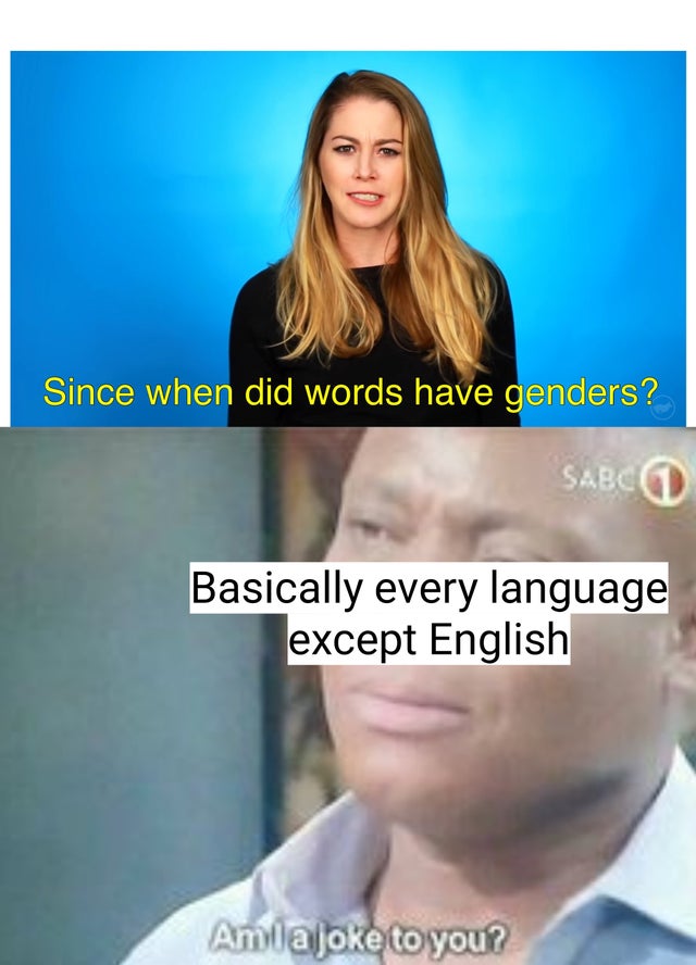 dank meme - am ia joke to you - Since when did words have genders? Sabc Basically every language except English Amla joke to you?