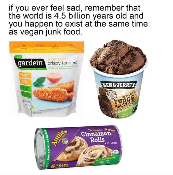 vegan meme - ben and jerry's non dairy - if you ever feel sad, remember that the world is 4.5 billion years old and you happen to exist at the same time as vegan junk food. Soveratain gardein crispy tenders Ben&Jerry'S Sog Brown Non pa Ero Wig.Organs Orga