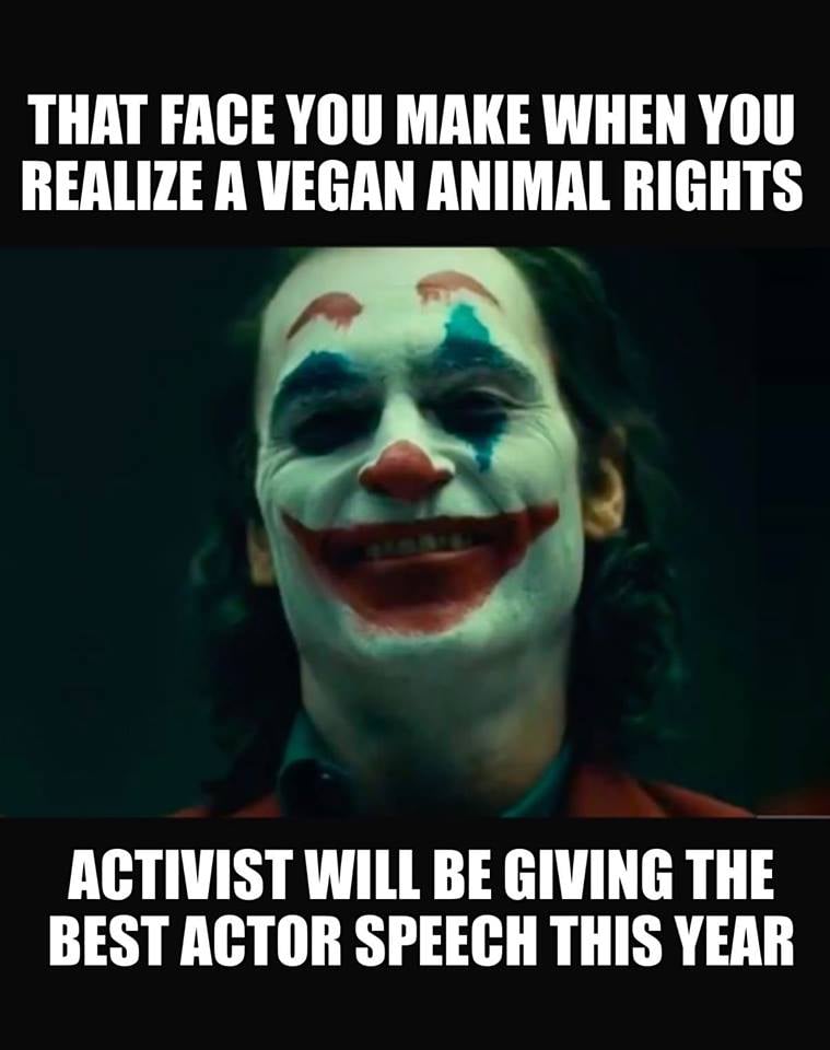 vegan meme - avengers joker - That Face You Make When You Realize A Vegan Animal Rights Activist Will Be Giving The Best Actor Speech This Year