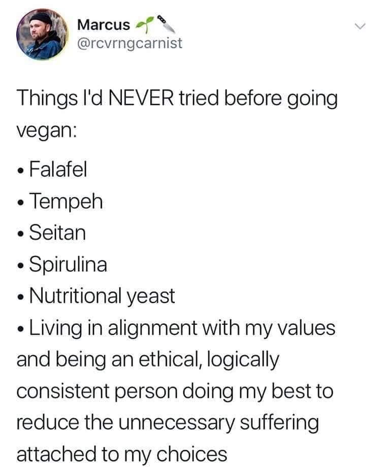 vegan meme - document - Marcus go Things I'd Never tried before going Vegan Falafel Tempeh Seitan Spirulina Nutritional yeast Living in alignment with my values and being an ethical, logically consistent person doing my best to reduce the unnecessary suff