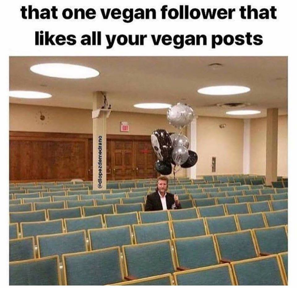 vegan meme - one follower who likes everything - that one vegan er that all your vegan posts 23