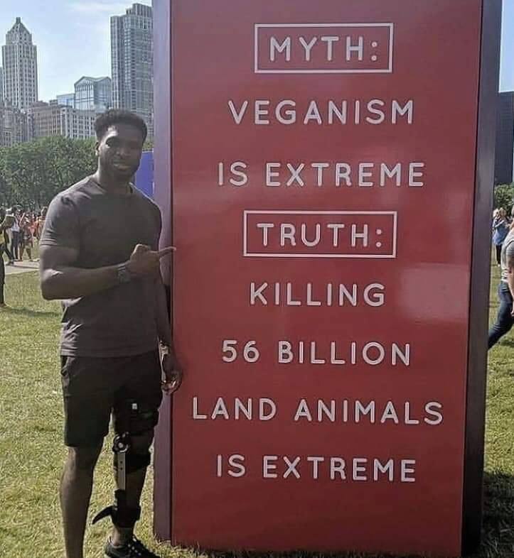 vegan meme - myth veganism is extreme truth killing 56 billion land animals is extreme - Myth Veganism Is Extreme Truth Killing 56 Billion Land Animals Is Extreme