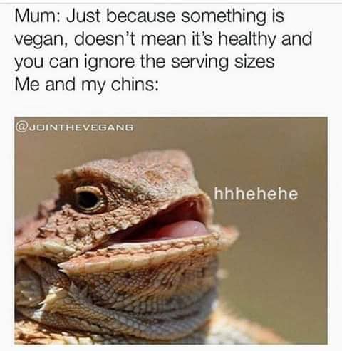 vegan meme - you don t have the votes hamilton meme - Mum Just because something is vegan, doesn't mean it's healthy and you can ignore the serving sizes Me and my chins hhhehehe