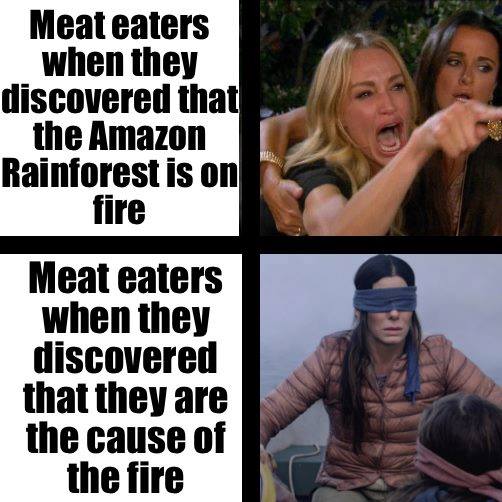 vegan meme - meat eaters amazon rainforest - Meat eaters when they discovered that the Amazon Rainforest is on fire Meat eaters when they discovered that they are the cause of the fire