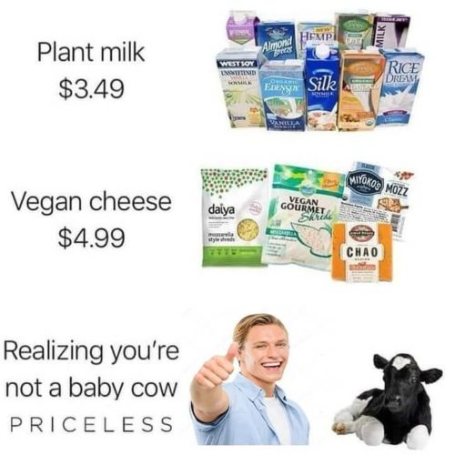 vegan meme - alternative to milk - Milk Almond Plant milk $3.49 Westjoy Twitter Rice Dream E Silk Miyokos Mozz $0 dalya Vegan Gourmet Vegan cheese $4.99 Skirt Chao Realizing you're not a baby cow Priceless