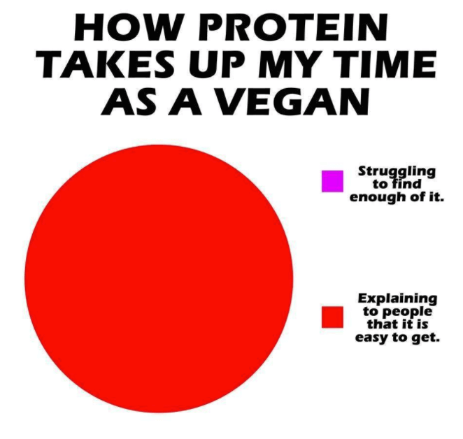 vegan meme - vegan struggles memes - How Protein Takes Up My Time As A Vegan Struggling to find enough of it. Explaining to people that it is easy to get.