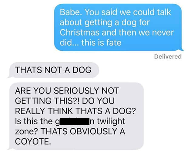 organization - Babe. You said we could talk about getting a dog for Christmas and then we never did... this is fate Delivered Thats Not A Dog Are You Seriously Not Getting This?! Do You Really Think Thats A Dog? Is this the g I n twilight zone? Thats Obvi