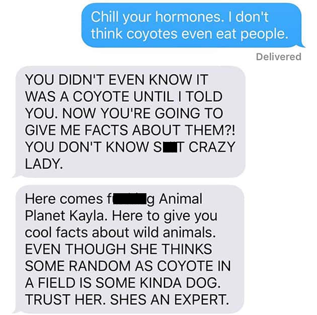 stray dog coyote - Chill your hormones. I don't think coyotes even eat people. Delivered You Didn'T Even Know It Was A Coyote Until I Told You. Now You'Re Going To Give Me Facts About Them?! You Don'T Know Sit Crazy Lady. Here comes f g Animal Planet Kayl