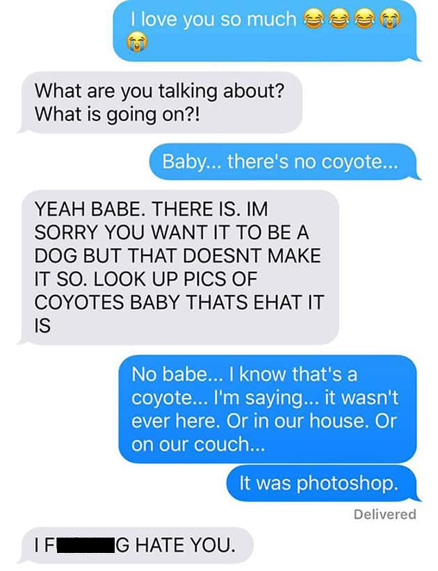 wife texts husband - I love you so much ease What are you talking about? What is going on?! Baby... there's no coyote... Yeah Babe. There Is. Im Sorry You Want It To Be A Dog But That Doesnt Make It So. Look Up Pics Of Coyotes Baby Thats Ehat It Is No bab