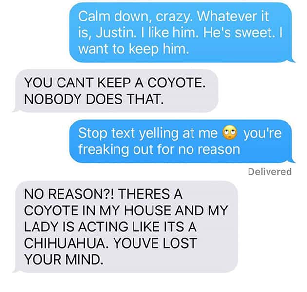 funny text husband and wife - Calm down, crazy. Whatever it is, Justin. I him. He's sweet. I want to keep him. You Cant Keep A Coyote. Nobody Does That. Stop text yelling at me so you're freaking out for no reason Delivered No Reason?! Theres A Coyote In 