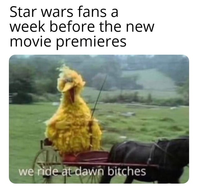 rise of skywalker meme - sesame street dark memes - Star wars fans a week before the new movie premieres we ride at dawn bitches