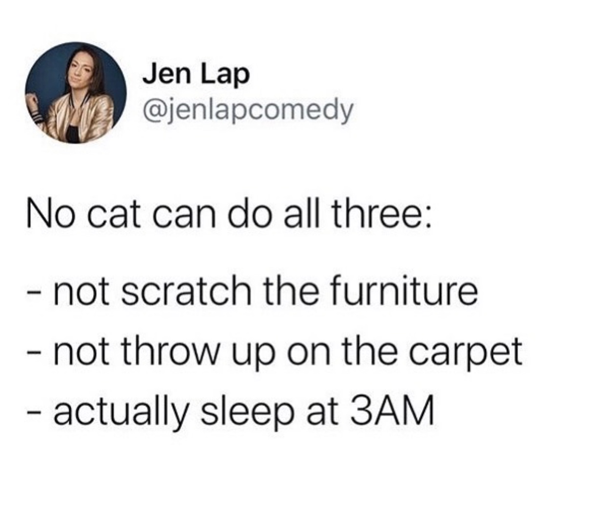 cute but will fight - Jen Lap No cat can do all three not scratch the furniture not throw up on the carpet actually sleep at 3AM