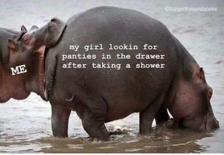 moto moto meme - sandacake my girl lookin for panties in the drawer after taking a shower Me