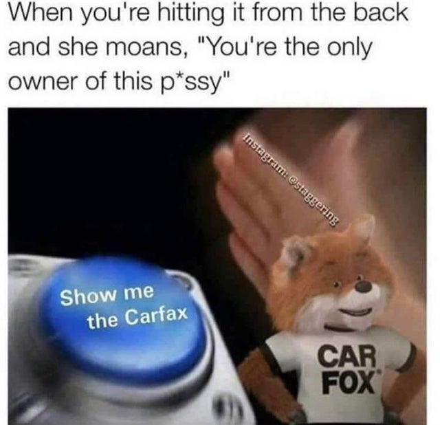 carfax meme - When you're hitting it from the back and she moans, "You're the only owner of this pssy" Instagram Show me the Carfax Car Fox