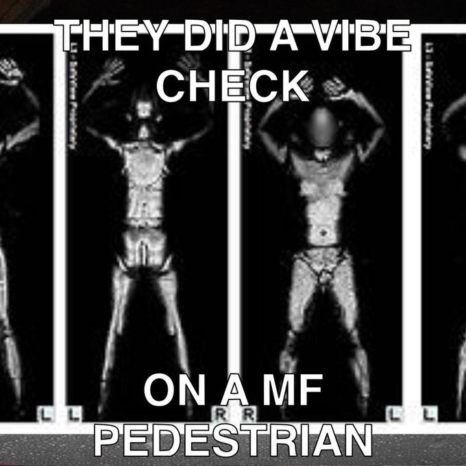 tsa body scan - TheyDidAVibe Check On A Me Pedestrian