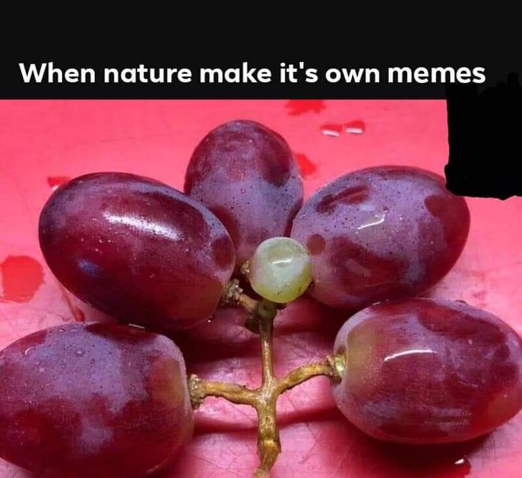 natural foods - When nature make it's own memes