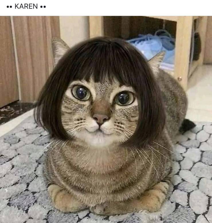 Cat - . Karen ..