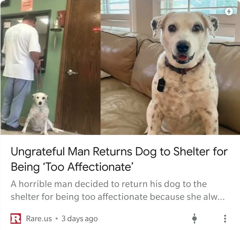 photo caption - Ungrateful Man Returns Dog to Shelter for Being 'Too Affectionate' A horrible man decided to return his dog to the shelter for being too affectionate because she alw... R Rare.us. 3 days ago